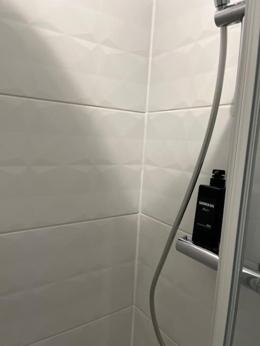 Loiret Luxe T2 Lejlighed Olivet  Eksteriør billede